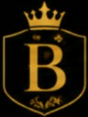 Business Class Travels Logo